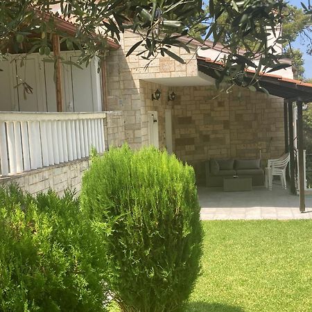 Villa Elani Κασσάνδρα Εξωτερικό φωτογραφία