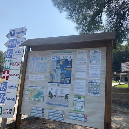 Villa Elani Κασσάνδρα Εξωτερικό φωτογραφία
