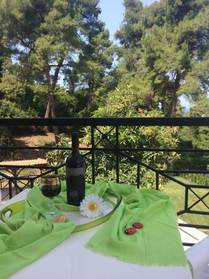 Villa Elani Κασσάνδρα Εξωτερικό φωτογραφία