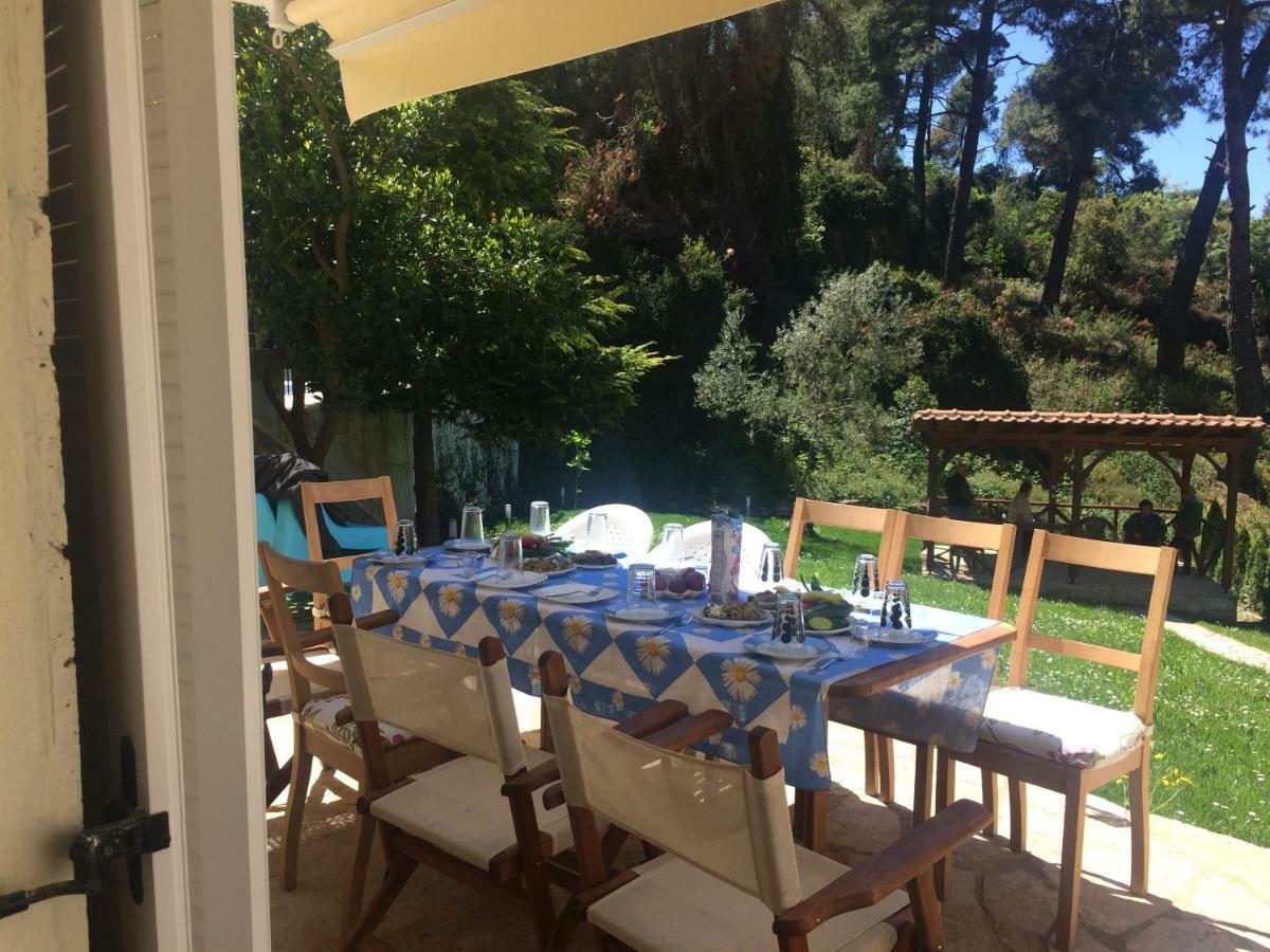 Villa Elani Κασσάνδρα Εξωτερικό φωτογραφία