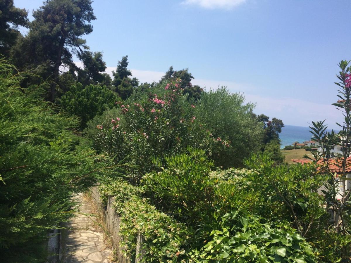 Villa Elani Κασσάνδρα Εξωτερικό φωτογραφία